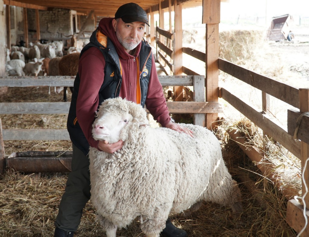 Dagestan to present unique livestock breeds at large-scale agricultural exhibition