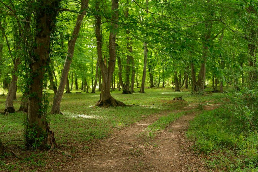 Samur National Park opens to tourists