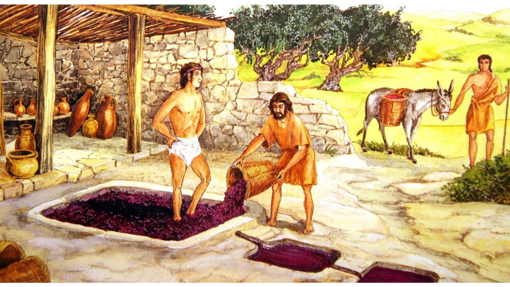 Country’s first vineyards traced back in history were in Dagestan