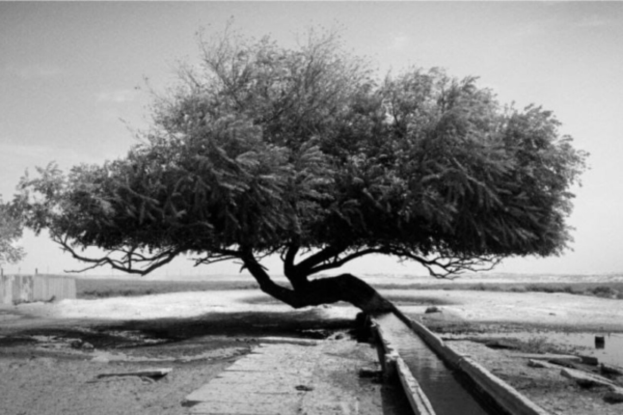 Stavropol artist captures unusual atmosphere of northern Dagestan