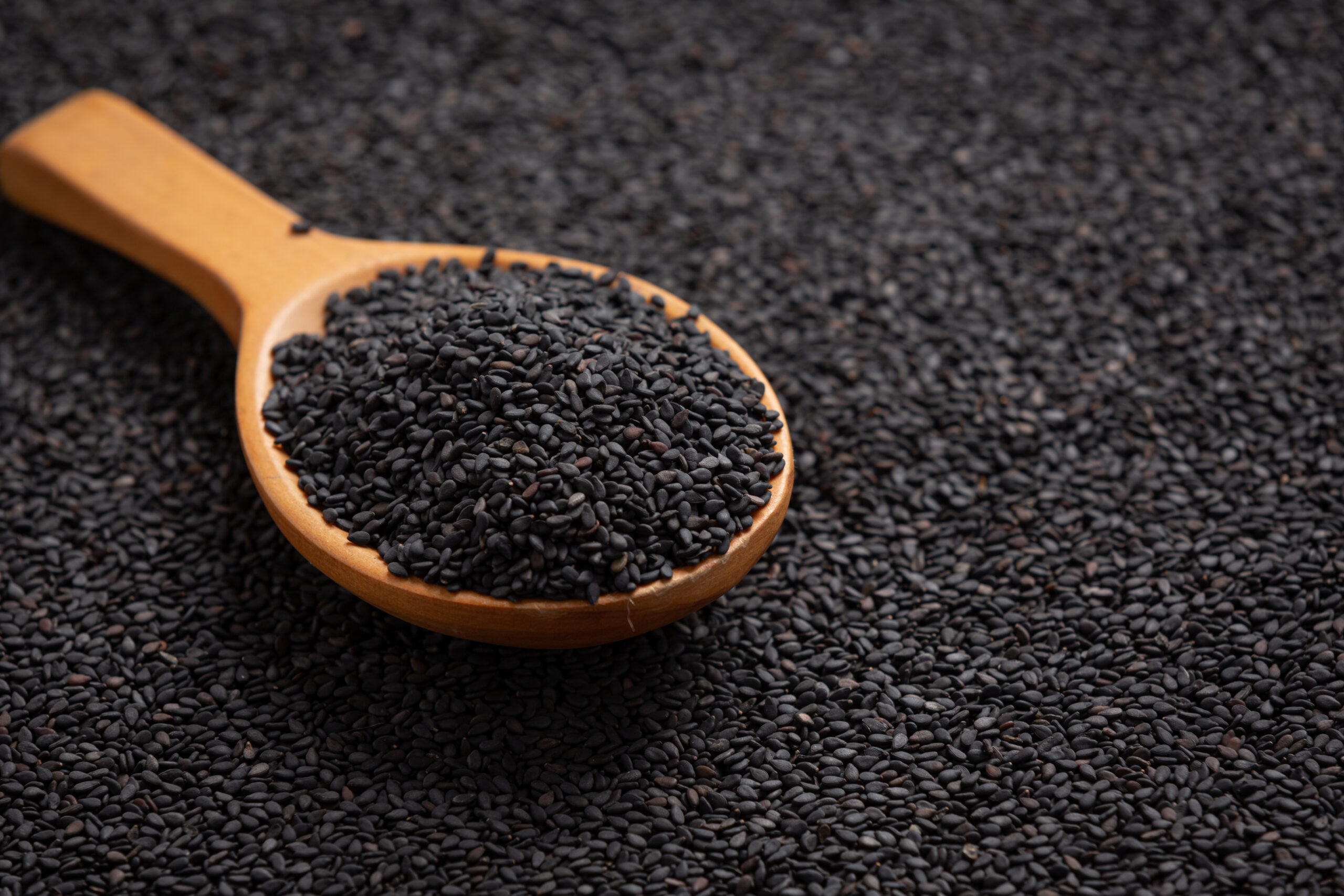 Black cumin first time sown in Dagestan 