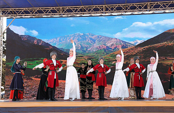 Makhachkala hosts "Cranes over Russia" festival