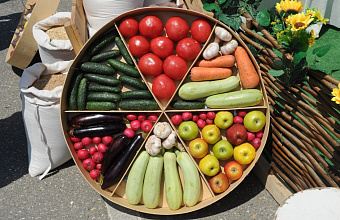 Another 50 new varieties of fruit and vegetables developed in Dagestan
