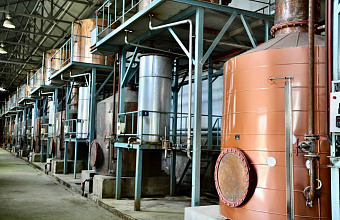 Wine and Cognac Factory in Dagestan plans to start production of rice vodka