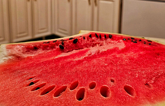 Dagestan delivers watermelons and melons to Moscow 