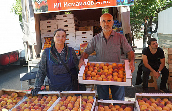 Night open-air fairs with affordable food to be held in Makhachkala