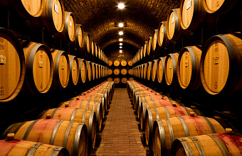 Historic 19th-Century Wine Cellars in Dagestan to Become New Tourist Attraction
