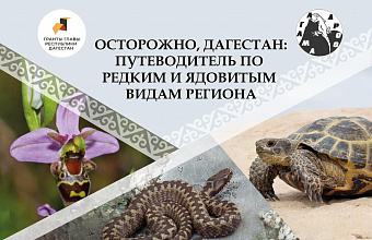 Zoo Guide to Dagestan: results of unique educational project summed up in Botanical Garden of DSU 