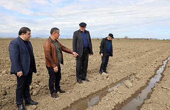 75 hectares of new vineyards planted in Dagestan